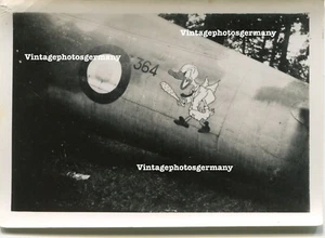 D7600 Foto Frankreich abgestürztes Französisches Flugzeug Wappen Ente Duck ID - Bild 1 von 3