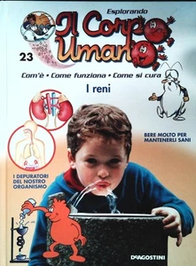 EXPLORING THE HUMAN BODY NO. 23 - THE KIDNEYS - DE AGOSTINI 2004 - Picture 1 of 1