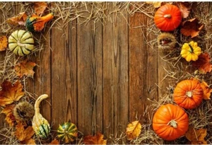 3x5 Ft Fall / Thanksgiving Wall Tapestry/ Backdrop - New - Picture 1 of 5