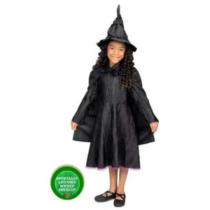 WICKED Movie Deluxe ELPHABA Defying Gravity Costume Dress Up Set Girls 4-6 Black - Picture 1 of 8