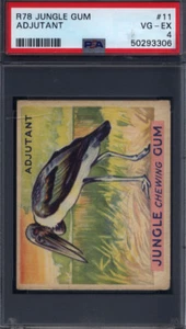 1930 R78 Jungle Gum #11 Adjutant PSA 4 - Picture 1 of 2