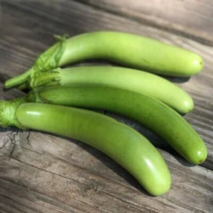 EGGPLANT - Thai Long Green seeds HEIRLOOM vegetable garden SPRING SUMMER non-gmo - Picture 1 of 4