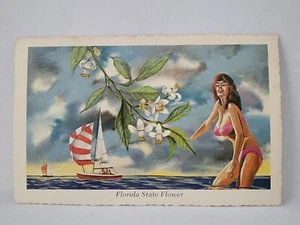 AK Florida Staat Blume Werbung Frau Mädchen im Bikini Segelboot - Bild 1 von 4