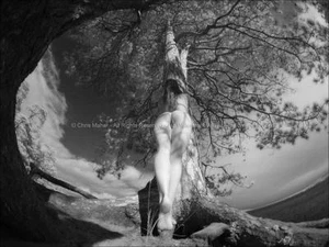 9102-LP BW IR Bellas Artes Desnudo Árbol de la Vida Naturaleza Desnuda 18x24 Estampado Firmado Maher - Imagen 1 de 1