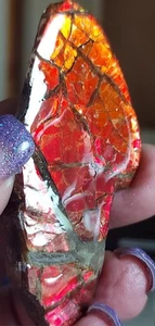 Ammolite Ammonite tabletop Display Piece BRIGHT C Changer 70.7xx32x7.3m 14193 - Bild 1 von 5