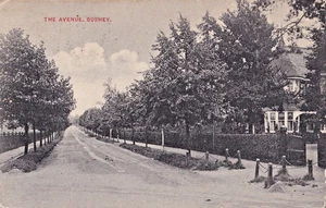 FHS 1911 Postcard, The Avenue, Bushey, Hertfordshire - faults - Picture 1 of 1