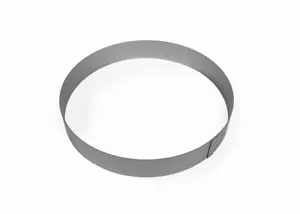 10 X 1½ Inch Flan Ring - Picture 1 of 1