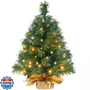 JOIEDOMI 24"/2FT Small Tabletop Christmas Tree with LED Warm Lights, Table To - Picture 1 of 5