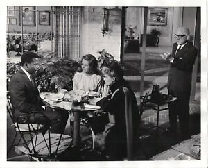 Reproduction Movie Still ~Guess Who's Coming to Dinner ~ Hepburn, Tracy, Poitier