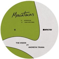 THE VISION MOUNTAINS NEW 12 INCH VINYL SINGLE