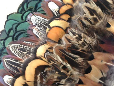 25 plumas de plumaje de faisán natural mezcladas 5 de cada color artesanía hágalo usted mismo Foto 1 de 4
