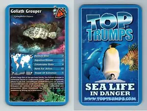 Goliath Grouper - Sea Life In Danger 2008 Top Trumps Card - Picture 1 of 1