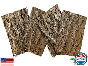 BNOSDM 4pcs Reptile Cork Bark Terrarium Background Bearded Dragon Tank Decor - Picture 1 of 5