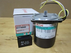 Motor Reversible Inducción Sésamo 5RK40GN-A 110V - Imagen 1 de 1