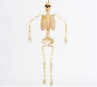 Pottery Barn Lit Mr. Bones Large Skeleton Halloween New In Box