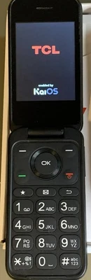 Telefone Verizon TCL Flip Pro 4056SPP 2.8" tela 2.0 MP cinza ardósia 4GB - Imagem 1 de 4