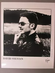 David Sylvian foto promo lucida bianco e nero 8 x 10 mano sul mento! - Foto 1 di 1