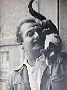 PRESSEARTIKEL 1953 DER BÄR BRASSENS BRINGT SEINE GITARRE FÜR LIEBHABER HERAUS - KATZE - Bild 1 von 2