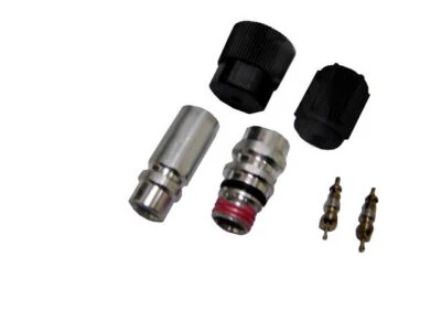 For 1994-1996 Ford F250 A/C System Valve Core and Cap Kit 81496GS 1995 - Image 1 of 2