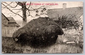 Exaggeration Printed Postcard Johnson 3 Farm Children Sitting On A Huge Squash - Picture 1 of 2