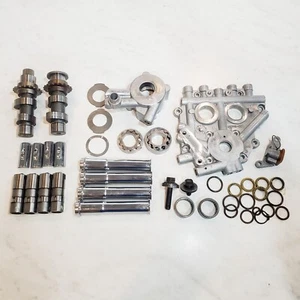 Harley OEM 2008-2016 Road King Camshaft Plate Assembly Oil Pump Cams Chain Push - Picture 1 of 22