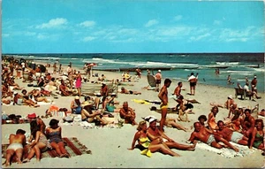 Postcard Ocean City MD c1960's Beach View   C4 - Picture 1 of 2
