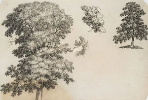 C. GRAIMBERG (*1774), Baum- und Laubwerkstudien, um 1800, Tusche Romantik - Bild 1 von 4