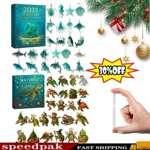 Sea Glass Marine Life Advent Calendar, 24 Days Christmas Countdown Calendar 2025 - Bild 1 von 19