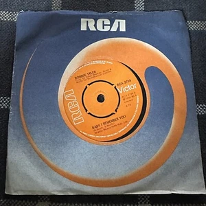 7" Vinyl Single - Bonnie Tyler - Lost In France 1976 (EX) - Picture 1 of 3