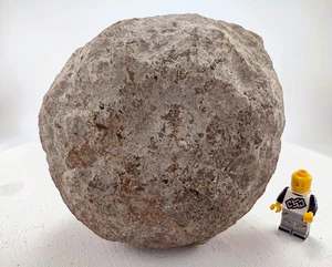 4.5" Geoda Nódulo Natural Redondo Kentucky Cuarzo Cristal 3.6LB BOGO Venta - Imagen 1 de 8