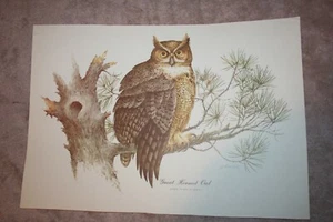 Great Horned Owl Vintage Print by James Lockhart - Imagen 1 de 5