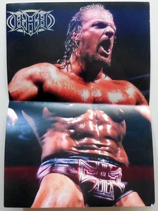 VINTAGE POSTER WRESTLING WRESTLER - Picture 1 of 2