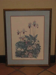 Vintage Marion Ruff Sheehan Limited Edition Signed Framed Floral Print - Picture 1 of 4