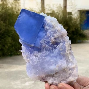 2,45 Pfund natürliche transparente blaue kubische Fluorit Mineralprobe aus der Inneren Mongolei - Bild 1 von 22