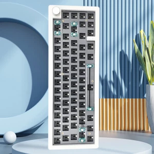66+1 Keys Mechanical Keyboard Hot Swap NKRO USB Mechanical Keyboard for Desktop - Afbeelding 1 van 11