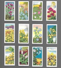 CIGARETTE/TRADE/CARDS.Musgrave Bros.(Cork).WILD FLOWERS.(1961).(Full Set of 25).