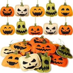 Windkream Felt 3D Pumpkin Decorations Multicolor Ornaments 24 Pumpkins - Picture 1 of 4