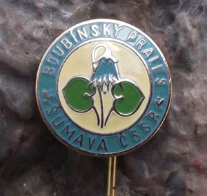 Vintage Sumava Mountains Boubin Bohemian Primeval Forest Blue Flower Pin Badge - Picture 1 of 2