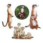 3 Pack Simulation Animal Models, Cute Little African Meerkat
