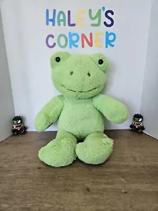 Build a Bear BAB Frosch Frühlingsgrün 2021 Plüschtier Stofftier 16 Zoll wird nicht mehr produziert - Bild 1 von 5