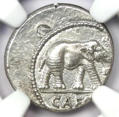 Julius Caesar AR Denarius Silver Elephant Coin 49 BC - Certified NGC Choice AU - Image 1 of 4