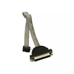 1ft DB25 Male to IDC10 Serial AT Everex Intel Version COM Port - Gray - Picture 1 of 1