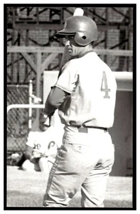 Jack Damaska Montreal Expos Vintage Baseball Postcard Rd8 - Picture 1 of 2