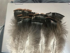 50 Östliche wilde schwarze und braune Truthahnschwanzfedern 5 bis 9 Zoll. - Bild 1 von 3