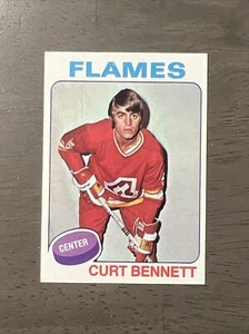 1975-76 TOPPS HOCKEY #1-330 EXNM/NM  COMPLETE YOUR SET   FREE SHIPPING - Picture 1 of 4