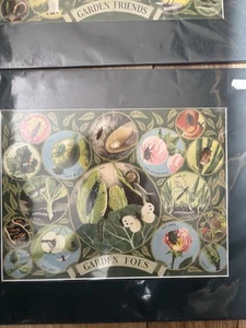 Garden Foes And Garden Friends Art Front Endpaper 1950s Illustration Bugs - Picture 1 of 6