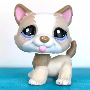 Original Littlest Pet Shop #1817 Husky Hund / Original Hasbro LPS - Bild 1 von 3