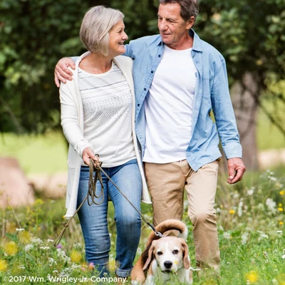 Goma de mascar - WRIGLEY'S sabor menta verde, paquete de 12 chicles a granel, 15 varillas por paquete Foto 1 de 4