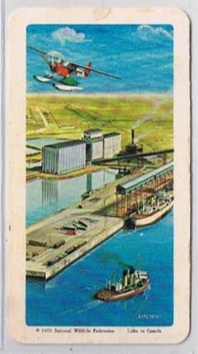 Brooke Bond Red Rose Tea Cards The Arctic #10 Arctic Seaport - Image 1 of 2