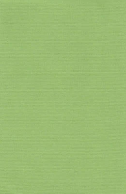 Kettenzugrollo Seitenzugrollo Türrollo Fenster Tür Kette Rollo Grün 70 x 180 - Bild 1 von 2